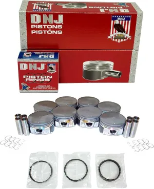 DNJ PRK4172 Piston Ring Set Standard for 2004-2014 Ford, Lincoln E-150, E-150 Club Wagon, E-250 5.4L V8 16V SOHC 330cid