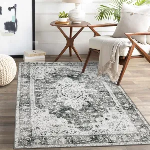 Moynesa Ultra-Thin Washable Area Rug - 3x5 Gray Entryway Rug Stain Resistance Kitchen Mat, Non Slip Non Shedding Pet Friendly Vintage Bathroom Carpet for Indoor Bedroom Living Laundry Room