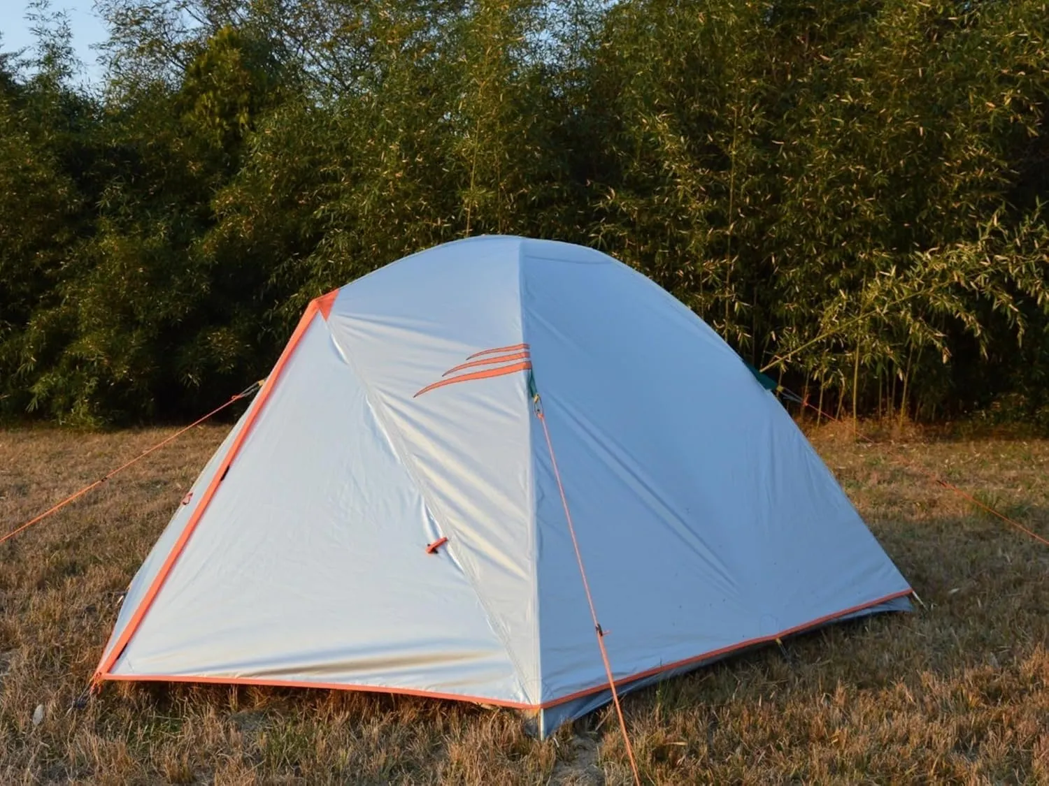 NTK Colorado GT 2/4/6/8 Person Outdoor Dome Family Camping Tent 100% Waterproof, Easy Assembly, Durable Fabric Full Coverage Rainfly - Micro Mosquito Mesh